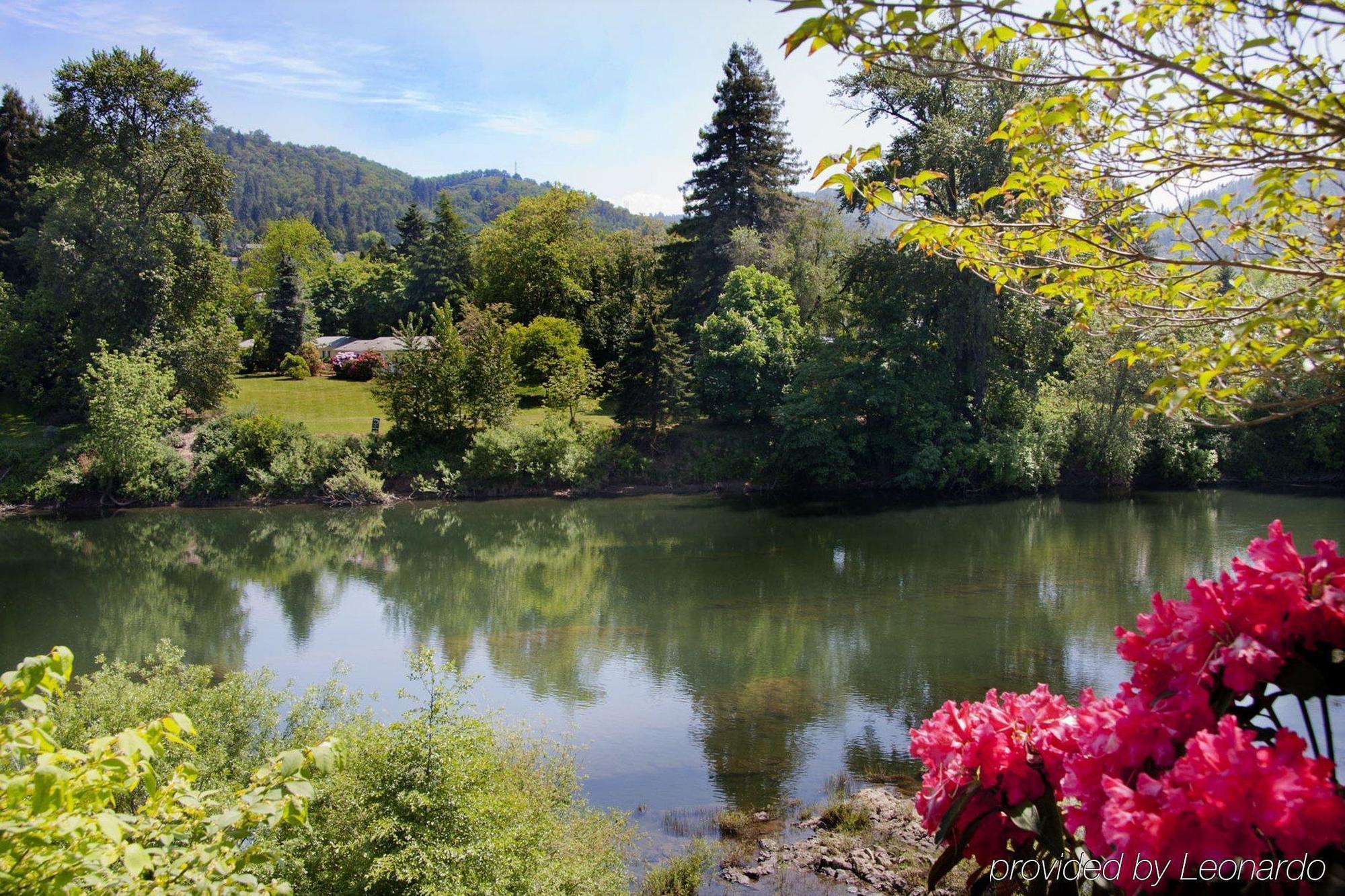 Holiday Inn Express Roseburg, an IHG Hotel Bagian luar foto